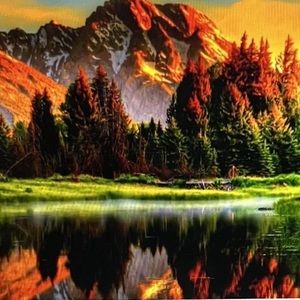 Meet your Posher, Minoo